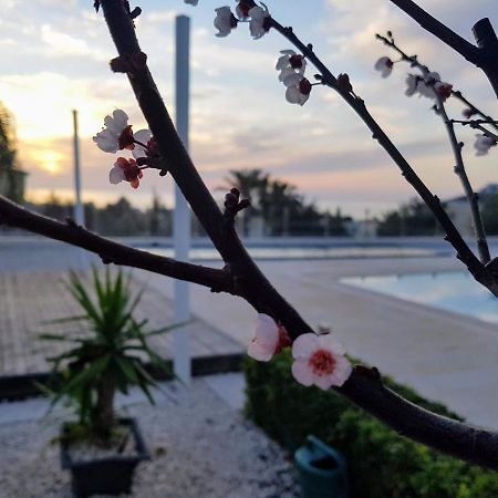 Villa Verdi: Luxury Villa With Private Pool Peyia Bagian luar foto